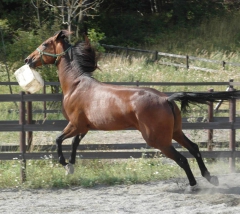 Random Shot 150827-7